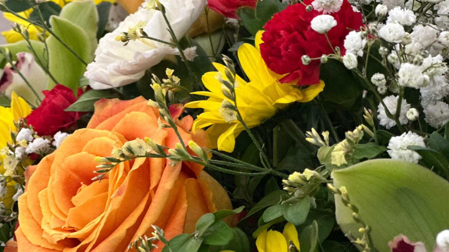 IMG-20260413-WA0010 (1)