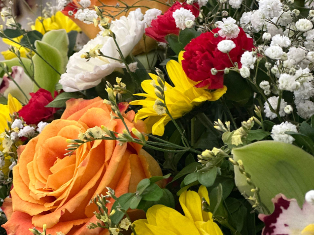 IMG-20260413-WA0010 (1)